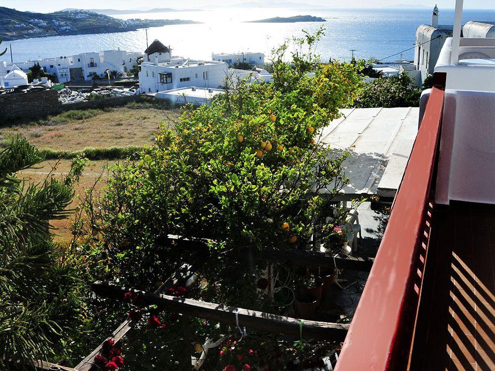 Dimitra Pension Mykonos Town Zewnętrze zdjęcie